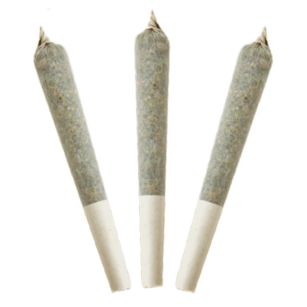 FROSTED ORANGES INFUSED PRE-ROLLS