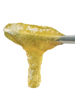 Papaya Eclipse Live Rosin Jam 1g
