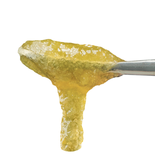 Papaya Eclipse Live Rosin Jam 1g