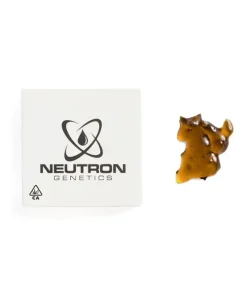 Gelato Shatter – 1 Gram