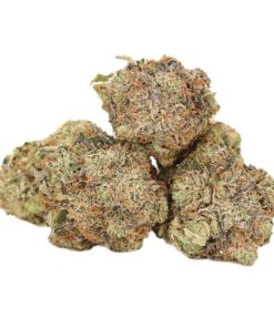Black Tuna Kush AAAA+ Indica