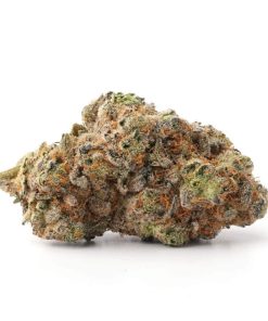 Gummy Bear OG (AAA)