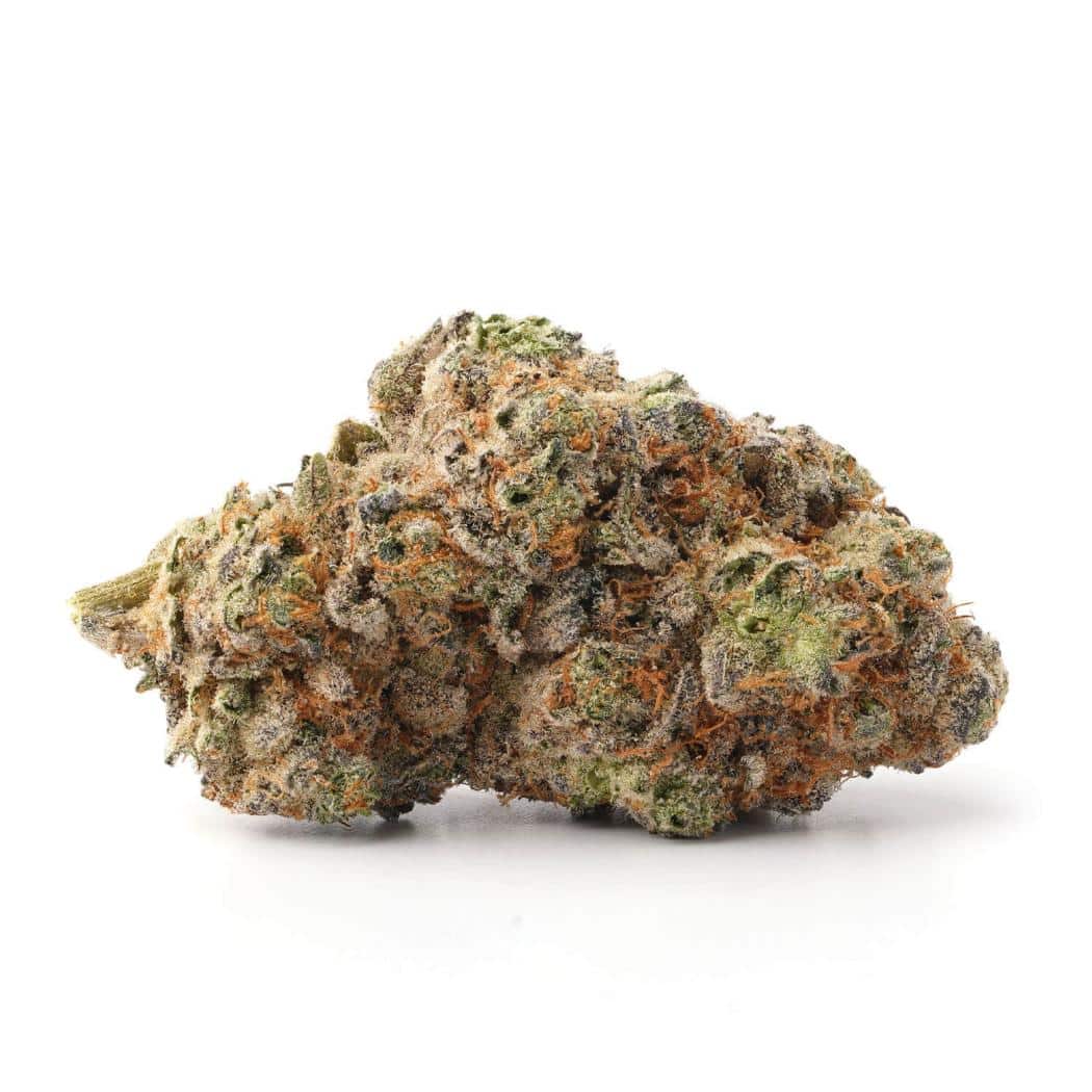 Gummy Bear OG (AAA)