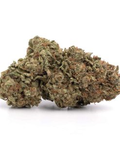 Pink Goo (AAA+)