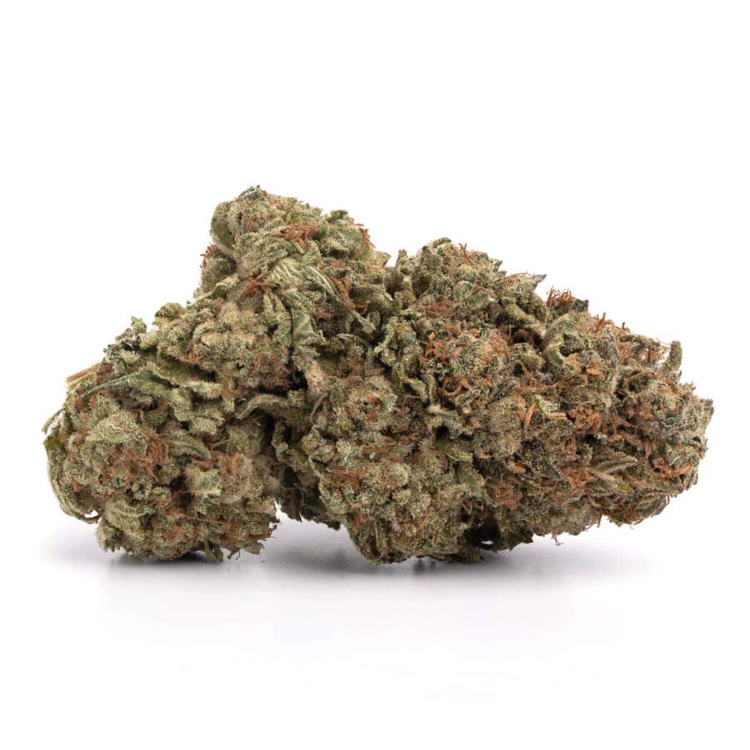 Pink Goo (AAA+)