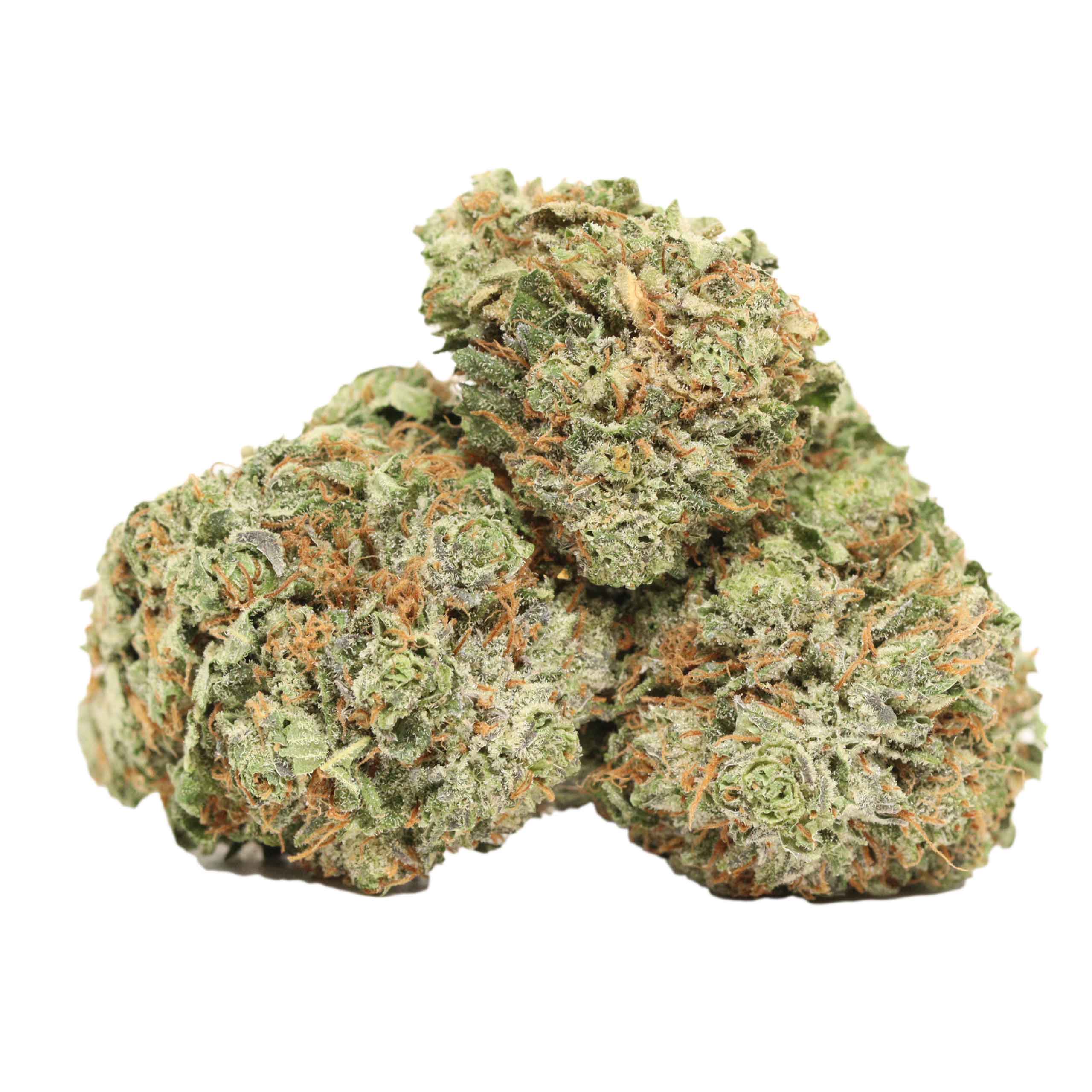 Purple Kush weed strain