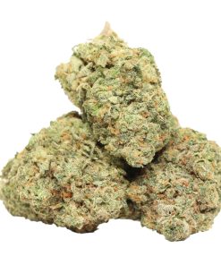 Rainy Lady Kush