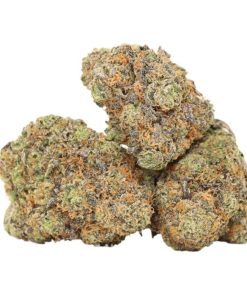 UBC Chemo Kush