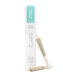 Permanent Marker Nug Roll PreRoll Pack 1g (2ct)